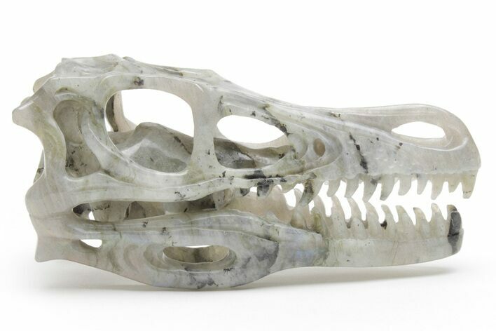 Carved Labradorite Dinosaur Skull #218489
